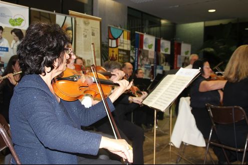Veli bej kávéházi esték – A zene mindenkié