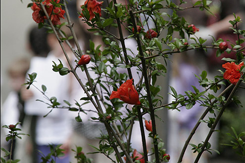 Szent István Kápolna