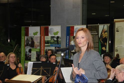 Veli bej kávéházi esték – A zene mindenkié