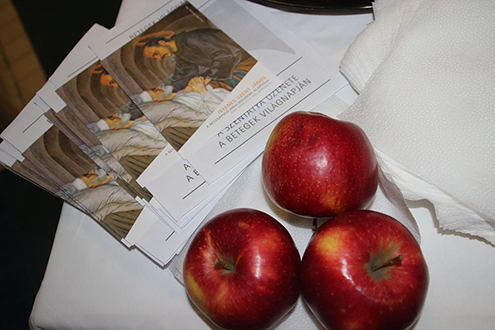 Betegek Világnapja 2016