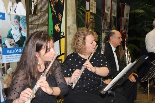 Veli bej kávéházi esték – A zene mindenkié